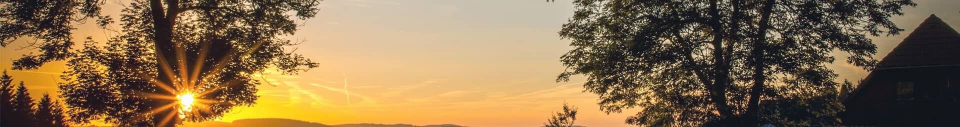 Forest of Dean, Gloucester and the Wye Valley